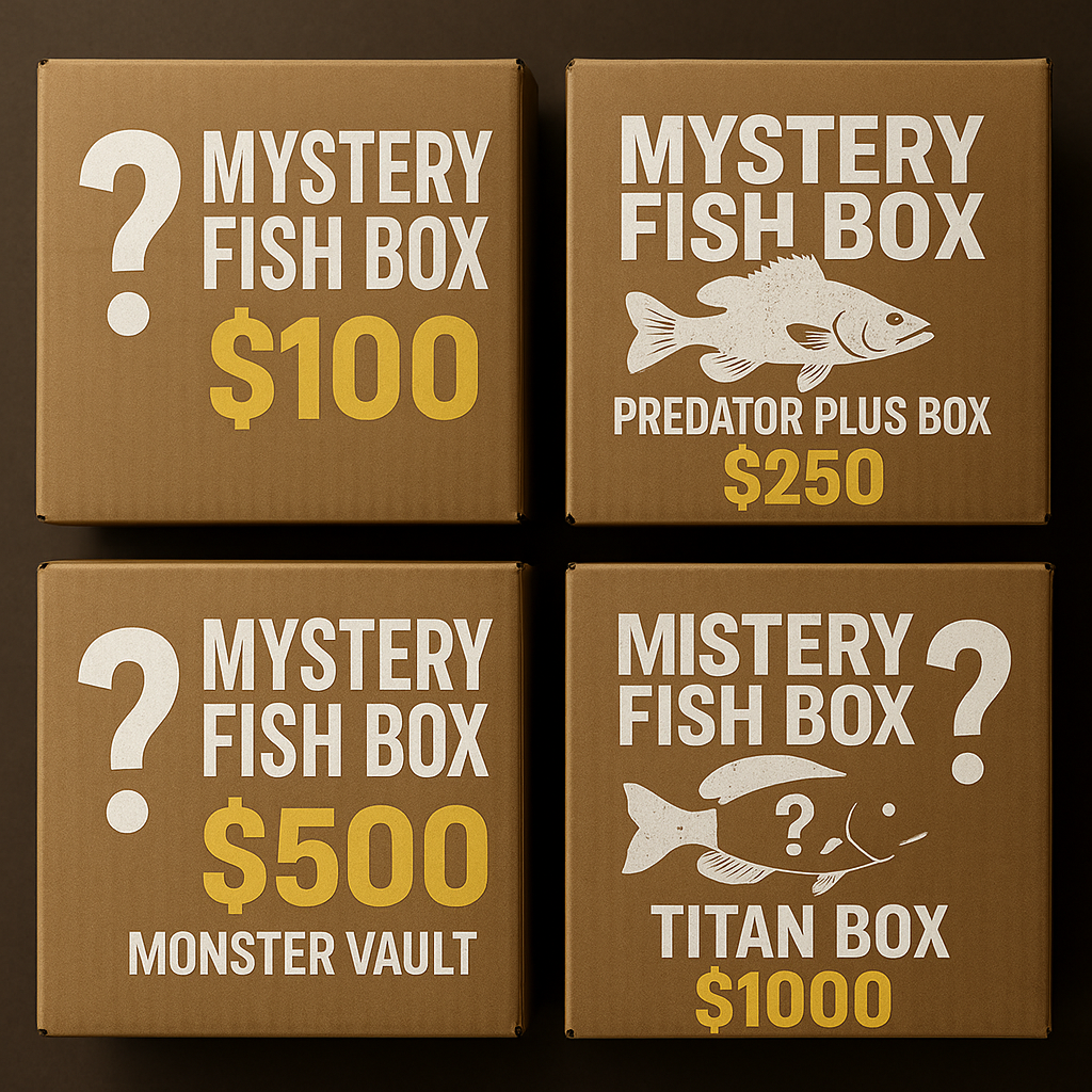 MYSTERY Fish Boxes!
