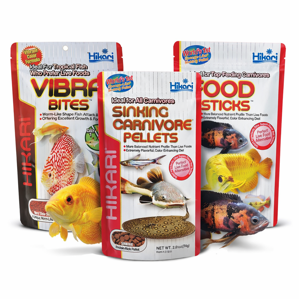 My Favorite Fish Foods for Monster Fish & Cichlids!