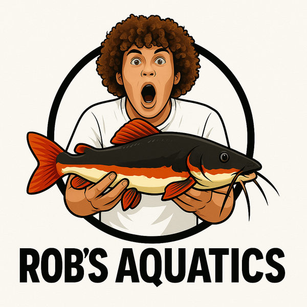 Rob's Aquatics Fish Shop