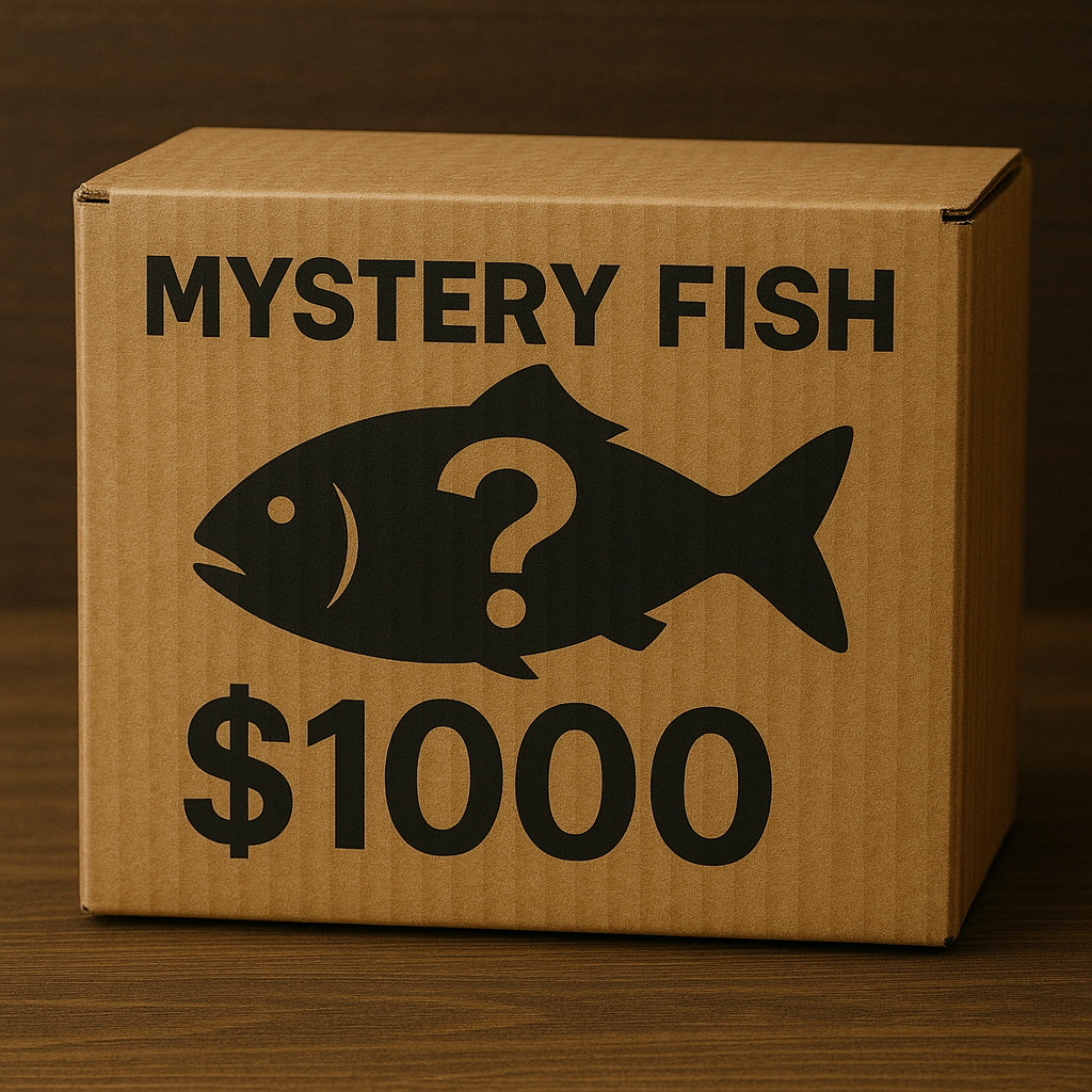 The Titan Box – Stunning Freshwater Aquarium Fish at Rob's Aquatics ...